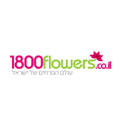 אלי מולה